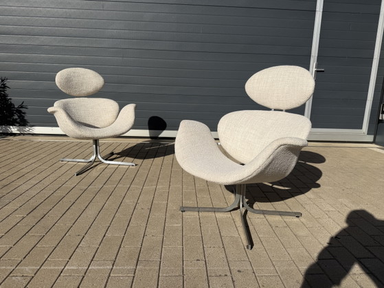 2x 1. Edition Artifort Big Tulip Neuwertig! Pierre Paulin in Beige/Ecru Bouclé – Sessel, Textile (photo 2 of 12)
