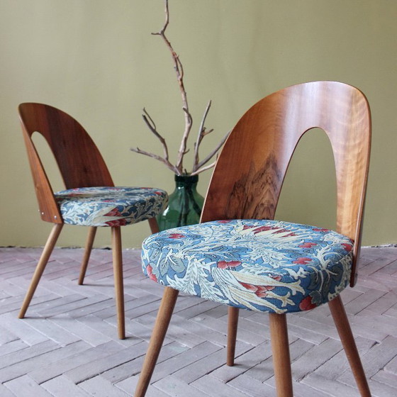 Image 1 of Sillas icónicas de Antonín Šuman con respaldos curvos chapados en madera, estilo moderno de mediados de siglo, década de 1960.