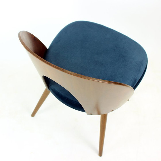 Image 1 of Set Of 6 Iconic Tatra Chairs In Walnut & Velvet By šuman, Nabytok Pravenec 1960s