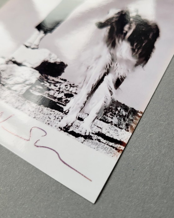 Image 1 of Photographie emblématique d'Helmut Newton | photo signée | Anna Molinari Carré Otis