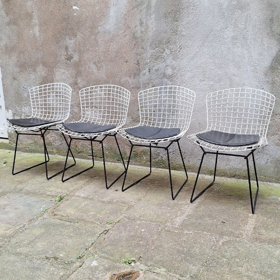 Image 1 of Set van 4 draadstoelen van Harry Bertoia, jaren 60.
