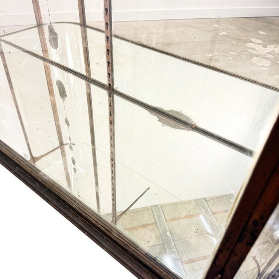 Image 1 of Grote antieke museum vitrinekast met gebogen glas – bronskleurig metalen vitrinekast