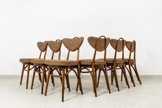 Image 1 of Satz von 6 Esszimmerstühlen Nr. 124 von H&J Kurmanowicz, Polen, 1950er Jahre