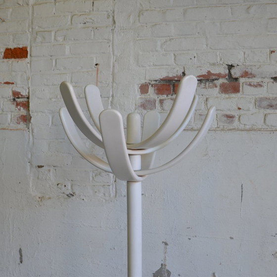 Image 1 of 1x Kaktus-Garderobe