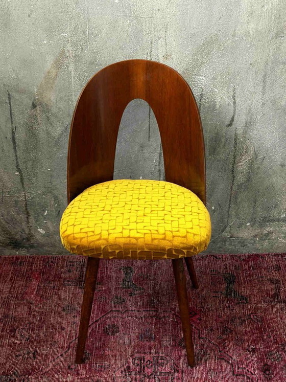 1/16 Antonín Šuman Chair 1967 for MIER Topoľčany, Mid Century Chair Walnut, Restored and reupholstered (photo 4 of 9)