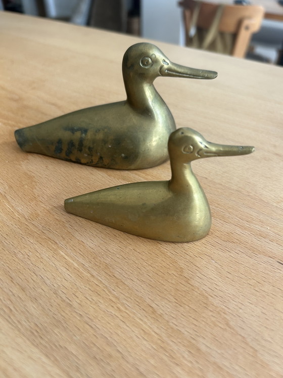 Coppia di anatre vintage in ottone – decorazione anni '60/'70 – Oggetti decorativi, Brass (photo 3 of 6)