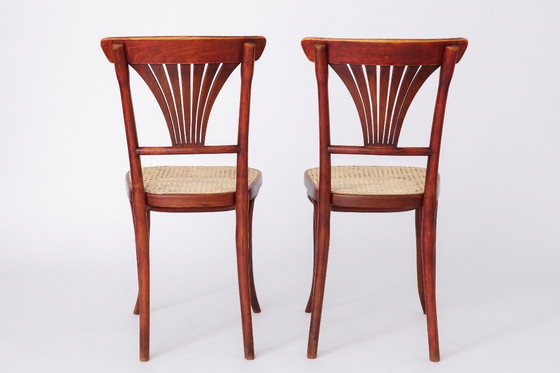 Image 1 of Satz von 4 restaurierten Wiener Kaffeehausstühlen - frühes 20. Jahrhundert, handgeschnitzte Sitze