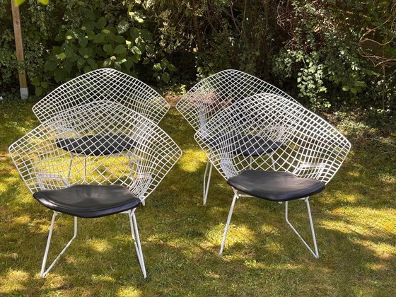 Image 1 of Bertoia Diamond fauteuil, Knoll-editie, ontwerp van Harry Bertoia, vintage jaren 70-80
