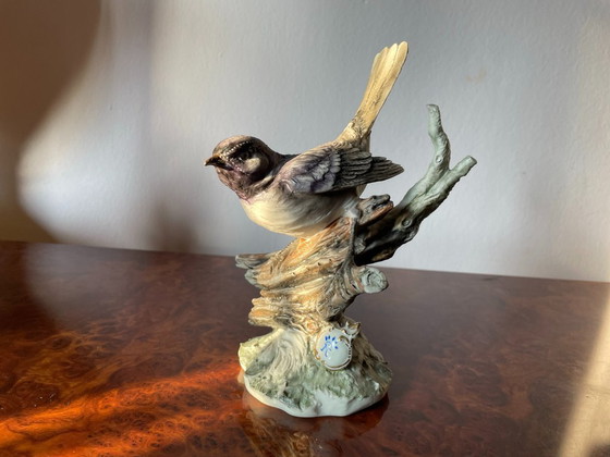 Image 1 of Capodimonte – Passerotto di Marfò