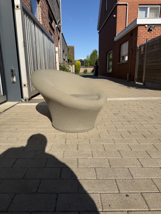 Image 1 of Chaise champignon vintage Artifort vert menthe en très bon état !
