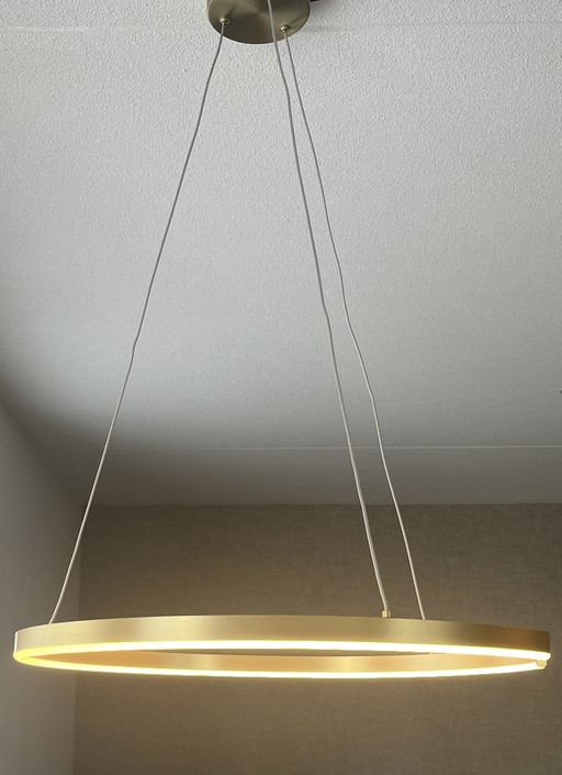 Bodilson Ringlux Pendant Lamp Gold