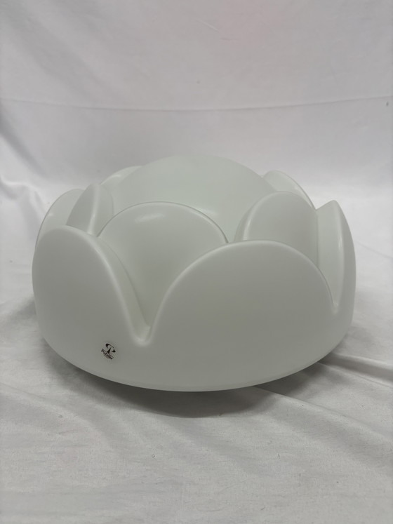 Image 1 of Peill und Putzler Seerose Artichoke ceiling lamp or table lamp