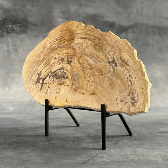 Image 1 of Madera fosilizada de Sooka, soporte hecho a medida (nuevo)