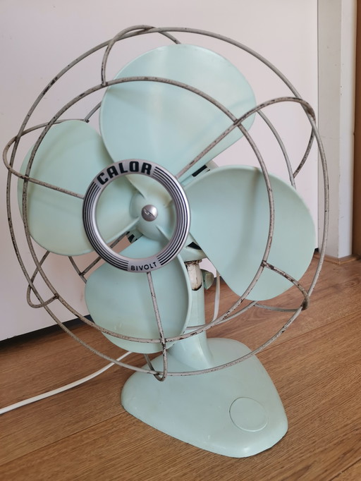 Vintage Fan Mint Green Calor
