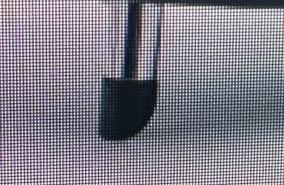 Image 1 of Leolux pallone fauteuil grigio blu/ecru