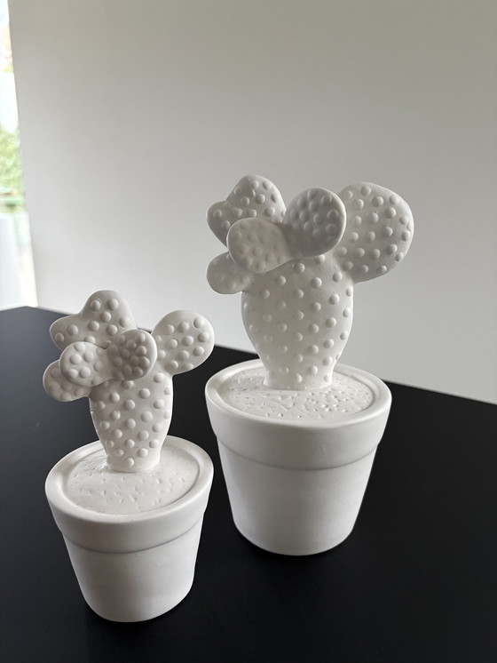 Image 1 of Set of two cacti, rough ceramic