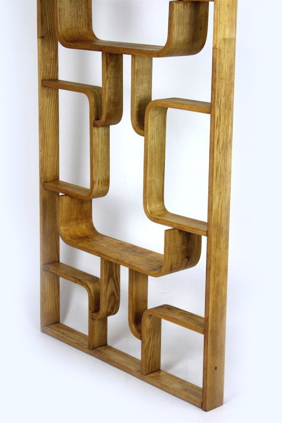 Image 1 of Mid-Century Modern Room Divider by Ludvik Volak for Drevopodnik Holesov, 1960s