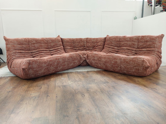 Image 1 of Togo set - Ligne Roset (2004) reupholstered