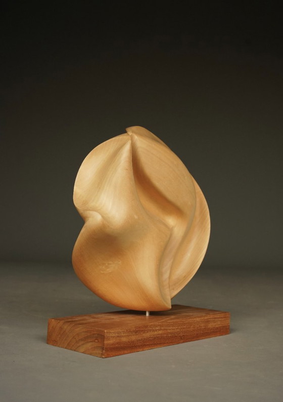 Image 1 of Scultura astratta in legno di melo intagliato, anni '80
