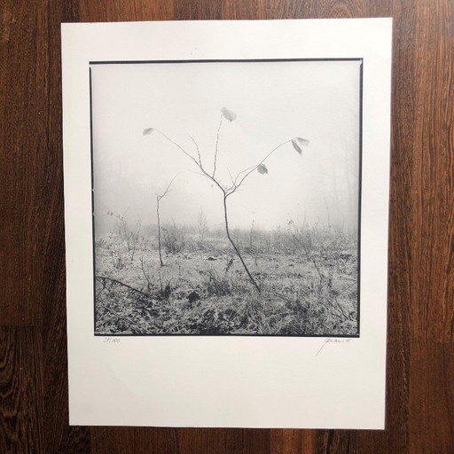 Stampa fotografica firmata Ralph Janowski 38/100