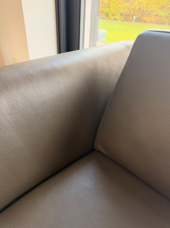 Divano angolare W. Schillig in pelle grigia, Divani angolari, Metallo, Grigio, Modern (foto 9 di 9)