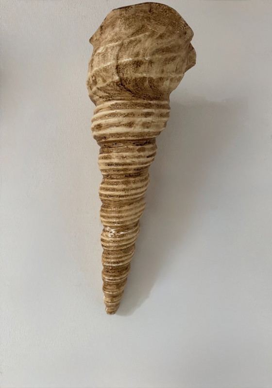 Image 1 of Coppia di applique da parete vintage a forma di conchiglia, in fibra di vetro beige, Francia 1960