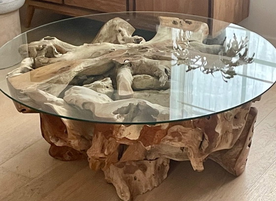 Image 1 of Coffee table Mangrove roots