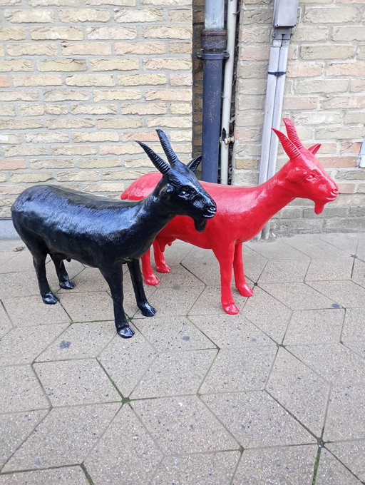 Cloned goat Beaufort 2003 sweetlove William cracking art