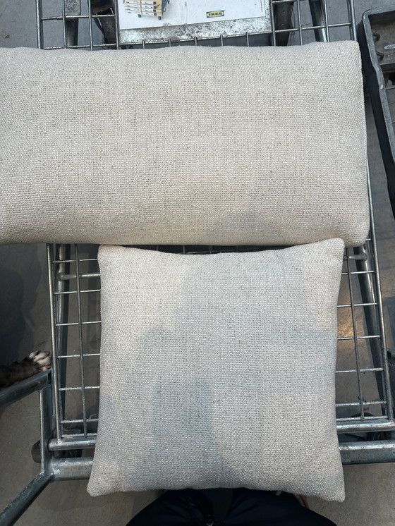 Image 1 of Linteloo Mauro