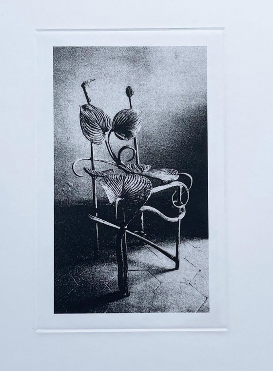 Image 1 of Claude Lalanne: Sedia Horta, incisione heliogravure su carta