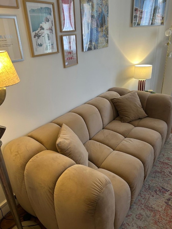 Windsor & Co Taupe/Beige Velvet Sofa – Windsor and Co, 3-5 seaters (photo 10 of 11)