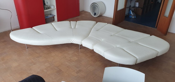 Image 1 of Flap - Edra