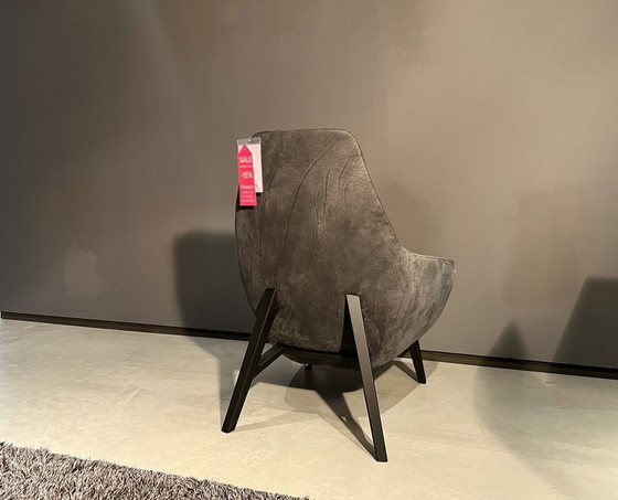 Enzo – Montis, Fauteuils (photo 3 of 5)