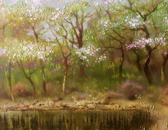 Image 1 of Spring Gardens