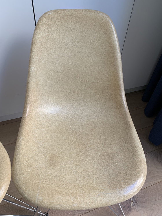 Image 1 of 2 sedie laterali vintage Eames Miller DSR in fibra di vetro color pergamena