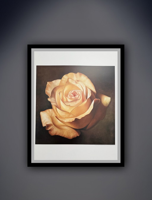 Franco Campana: "Yellow Rose".

Signed in the Plate.
Beautiful colors!