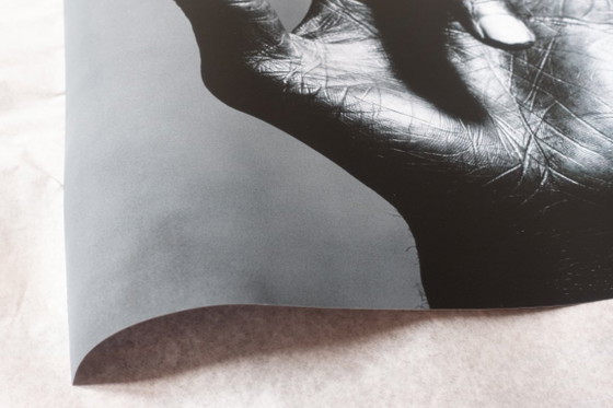 Image 1 of De hand van Miles Davis - Irving Penn, New York, 1986 - 45,7 x 45,7 cm