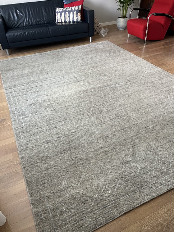 Image 1 of De Munk Carpet Size 248/344 Basic Kelvin 