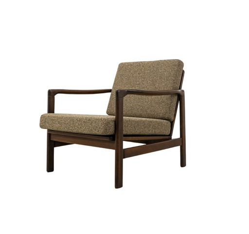 Mid Century Sessel von Zenon Bączyk, Polen, 1960er Jahre