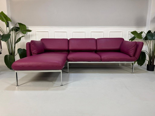 Brühl Roro Medium Sofa Leder Purpur Lila Violett Schlafsofa Ecksofa