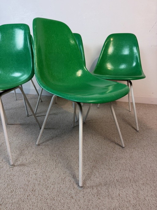 5 chaises Herman Miller