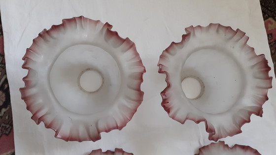 Image 1 of 4 Large Antique Globes Tulips