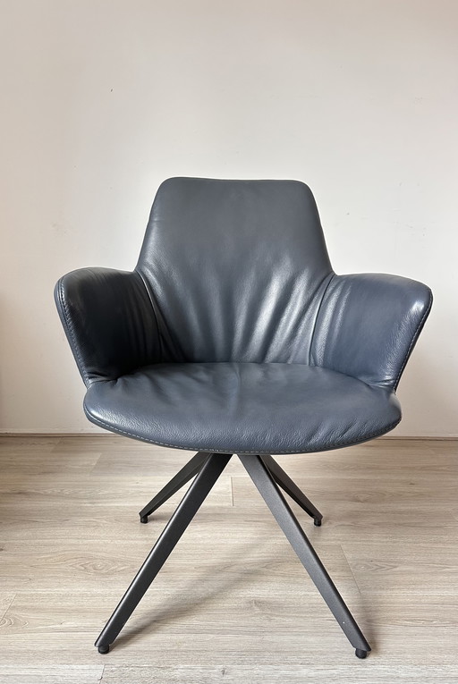 4x Bert Plantagie Maple Design Chairs