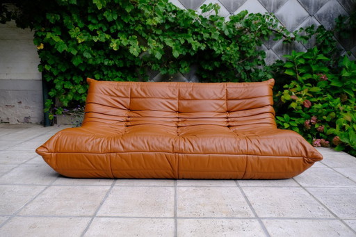 Ligne Roset - Togo - canapé 3 places - cuir cognac