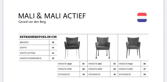 Image 1 of LABEL van den Berg Eetkamerstoelen Mali en Gabón