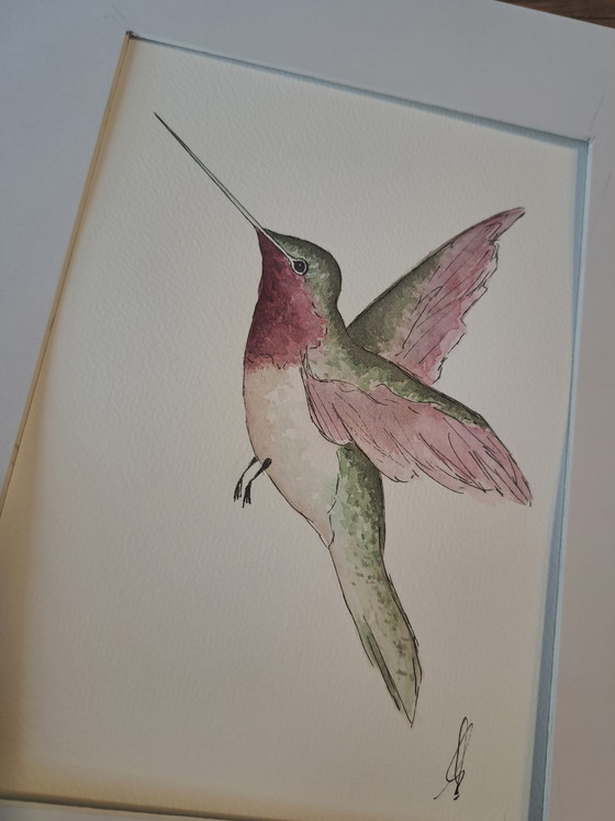Image 1 of Acquerello originale raffigurante un colibrì con cornice