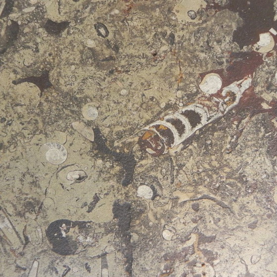 Image 1 of Table basse Ronald Schmitt 'Fossils' années 1980, 70 x 70 cm