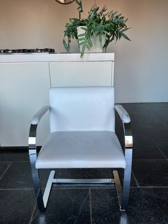 Image 1 of Set mit 4 Nachbildungen von Brno-Stühlen