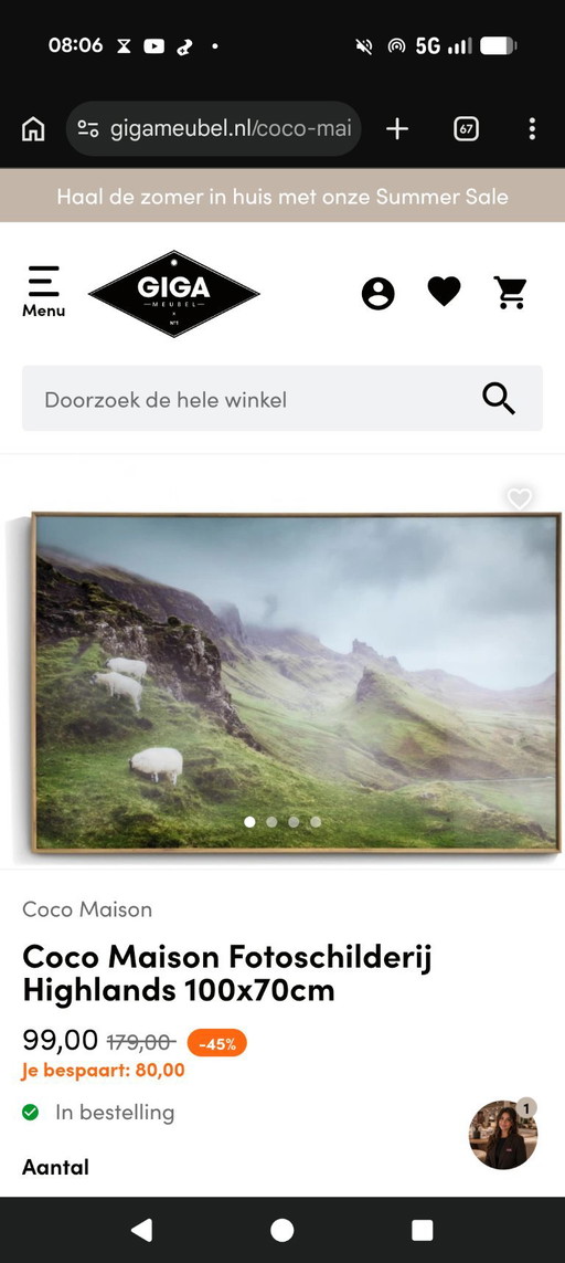 Coco Maison Wanddekoration Rüschen und Hochlandmalerei – wanddecoratie, Wood, Canvas
