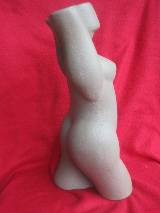 Image 1 of Abstracte torso vrouw